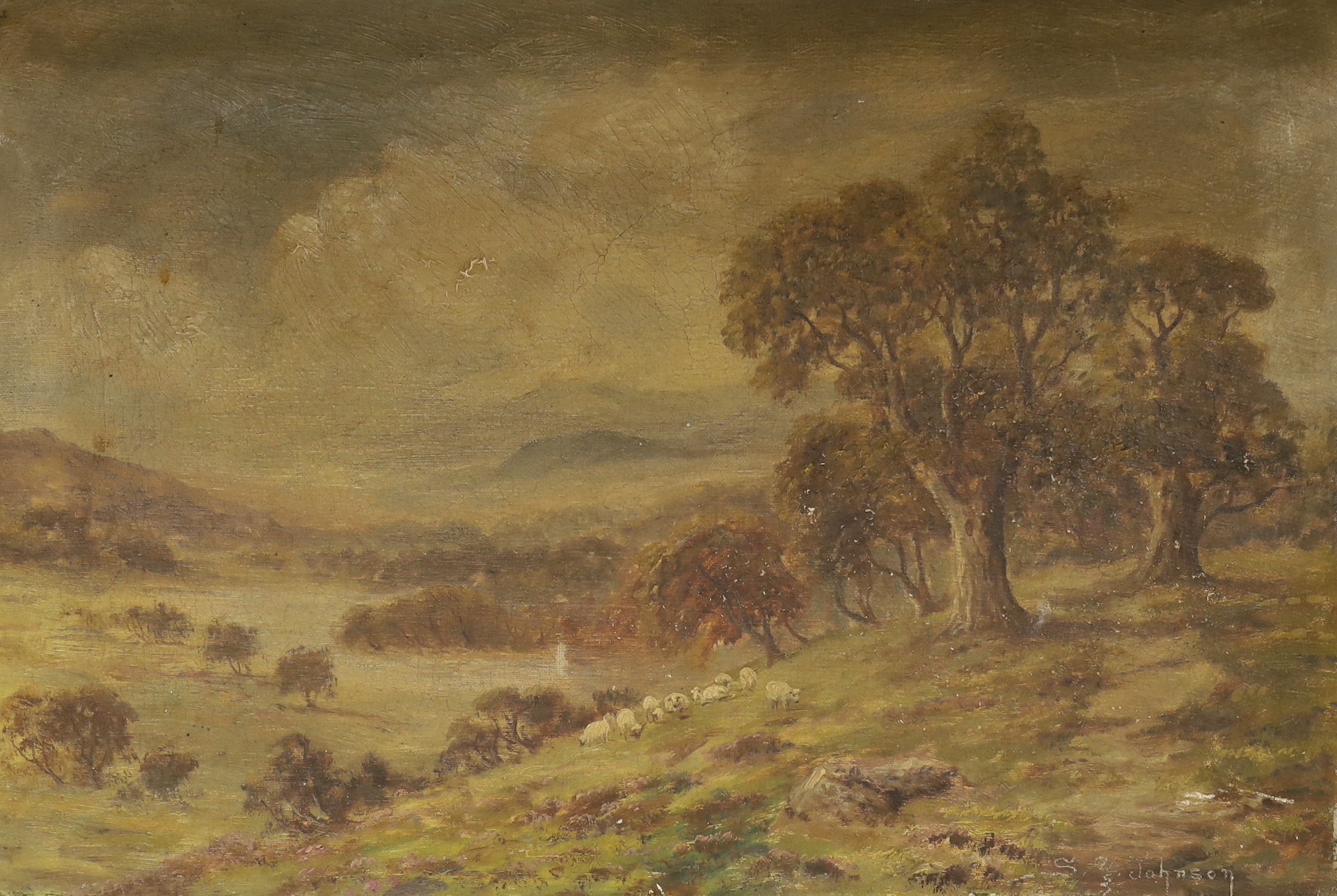 Sidney Yates Johnson (fl.1890-1926), oil on canvas, Sheep on a hillside, signed, 31 x 46 cm. unframed.